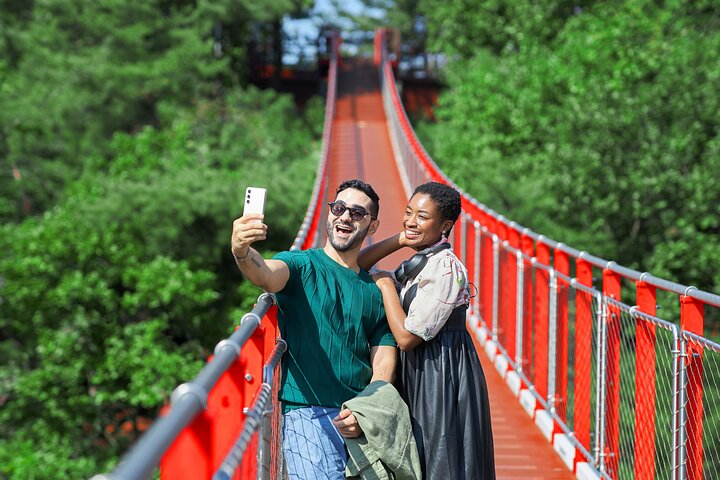 Best DMZ Tour Korea from Seoul (Suspension Bridge & JSA Museum)